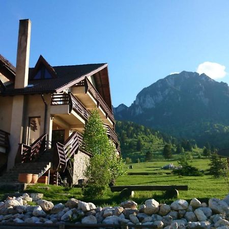 Taverna Pietrei Craiului เซอร์เนช ภายนอก รูปภาพ